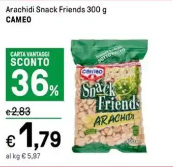 Iper La Grande Arachidi Snack Friends 300 g CAMEO offerta