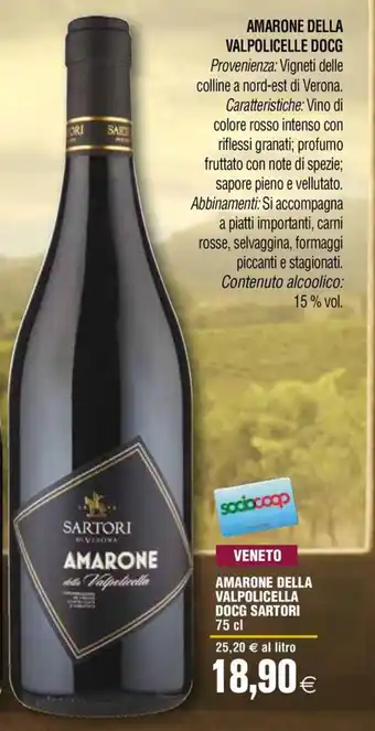 Coop AMARONE DELLA VALPOLICELLA DOCG SARTORI 75 cl offerta