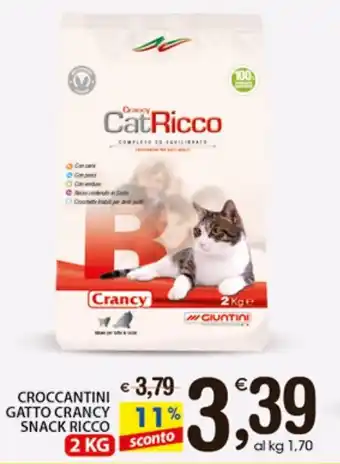 Qui Discount CROCCANTINI GATTO CRANCY SNACK RICCO 2 KG offerta