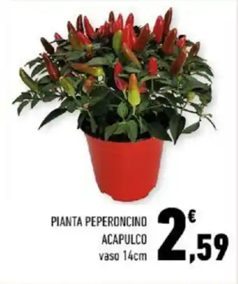 Conad PIANTA PEPERONCINO ACAPULCO vaso 14cm offerta