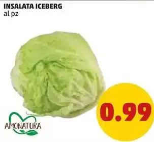 PENNY INSALATA ICEBERG offerta