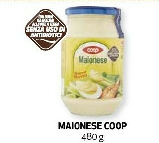 Ipercoop Maionese offerta