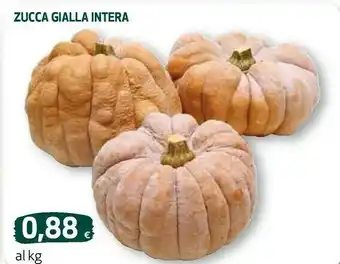 Ipercoop Zucca gialla intera offerta