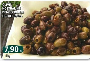 Ipercoop Ortoetruria olive nostraline denocciolate offerta