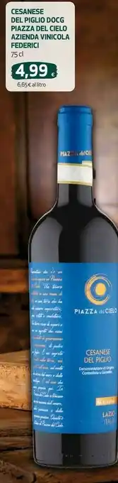 Ipercoop Cesanese del piglio docg piazza del cielo azienda vinicola federici offerta