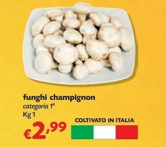 Panorama Funghi champignon offerta