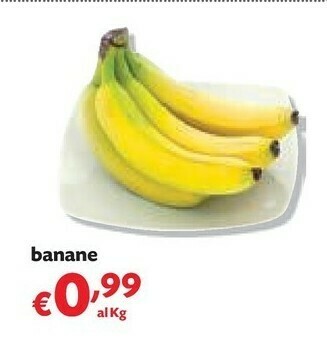Panorama Banane offerta