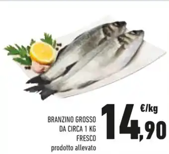 Conad BRANZINO GROSSO DA CIRCA 1 KG FRESCO prodotto allevato offerta