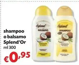 Panorama Splend'or shampoo offerta
