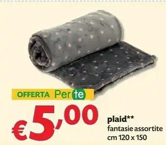 Pam Plaid fantasie offerta