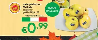 Pam Mele golden dop offerta