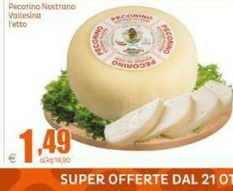 Elite Pecorino offerta