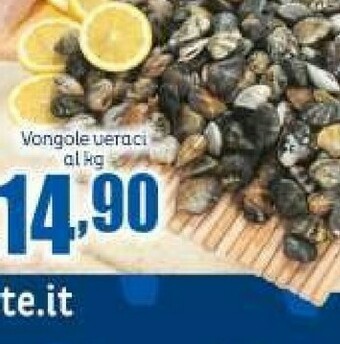 Elite Vongole offerta
