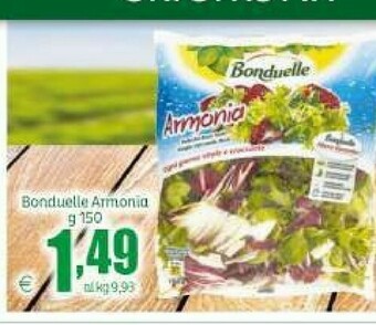 Elite Insalata offerta
