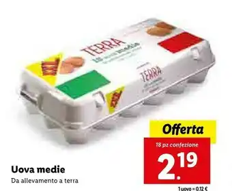 Lidl Uova medie da allevamento a terra offerta