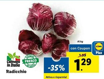 Lidl Radicchio offerta