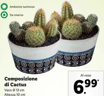 Lidl Lidl composizione di cactus offerta