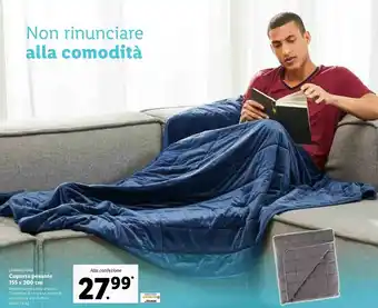 Lidl Livarno home coperta pesante offerta