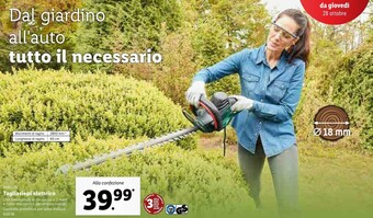 Lidl Parkside tagliasiepi elettrico offerta