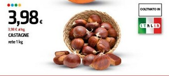 Superconti Castagne offerta