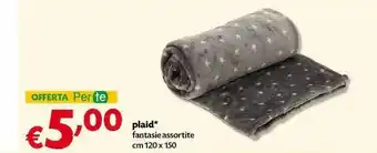 Pam Plaid offerta