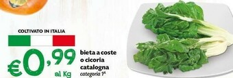 Pam Verdure offerta
