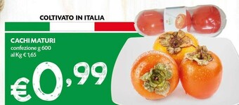 Pam Frutta offerta