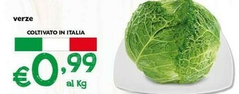 Pam Verdure offerta