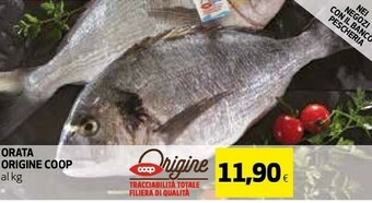 Coop Hamburger offerta
