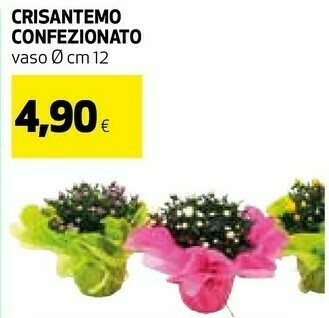 Coop Piante offerta