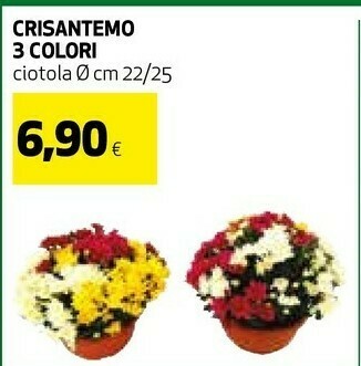 Coop Piante offerta
