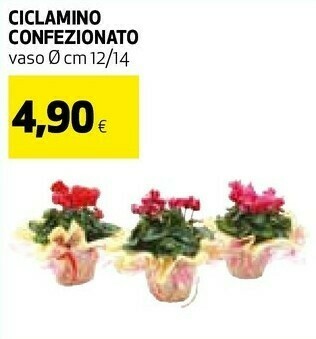 Coop Piante offerta