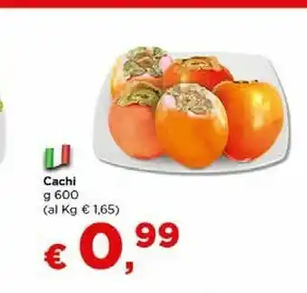 Cachi