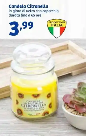 In'S Mercato Candela Citronella offerta