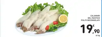 Spazio Conad CALAMARI DEL PACIFICO PULITI DECONGELATI offerta