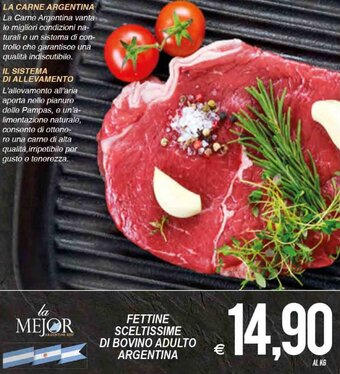 MD Discount Fettine Sceltissime di Bovino Adulto Argentina offerta