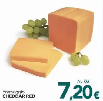 Altasfera Formaggio CHEDDAR RED offerta