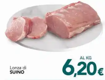 Altasfera Lonza di SUINO offerta