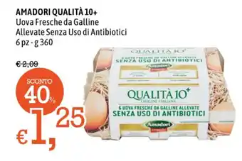 Famila Market AMADORI QUALITÀ 10+ Uova Fresche da Galline Allevate Senza Uso di Antibiotici g 360 offerta