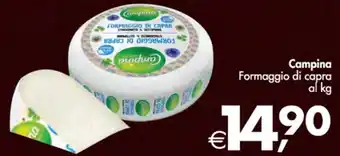 Deco Supermercati Campina Formaggio di capra offerta