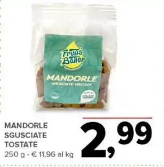 Todis MANDORLE SGUSCIATE TOSTATE 250 g offerta