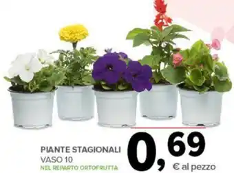 Todis PIANTE STAGIONALI offerta