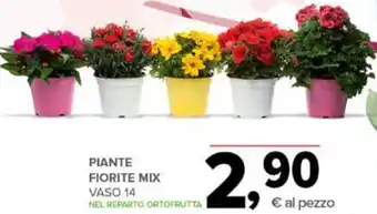 Todis PIANTE FIORITE MIX offerta