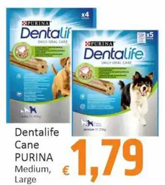 Paghi Poco Dentalife Cane PURINA Medium, Large offerta