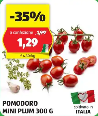 ALDI POMODORO MINI PLUM 300 G offerta