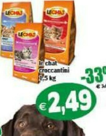 Il Castoro Supermercati Cibo per gatti offerta