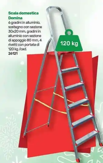 Scala domestica Domina