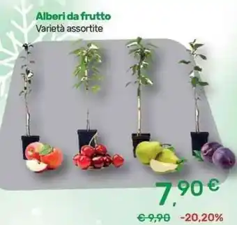 Alberi da frutto