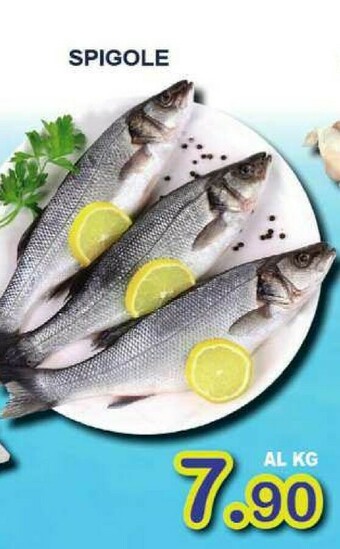 Sacoph Pesce offerta