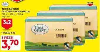 DPiù TERRE SAPIENTI CILIEGINE DI MOZZARELLA 600 g offerta